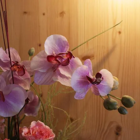 Sportapart Garni Mallaun Hotel